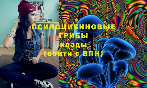 первитин Тавда
