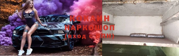 гидропоника Медногорск