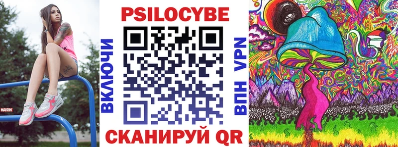 сколько стоит  Новая Ляля  Псилоцибиновые грибы Psilocybe 